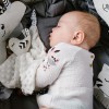 BABYONO Maznáčik BABYONO Hračka pískacia s hryzačkou vtáťik